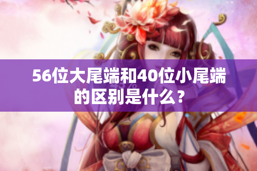 56位大尾端和40位小尾端的区别是什么？
