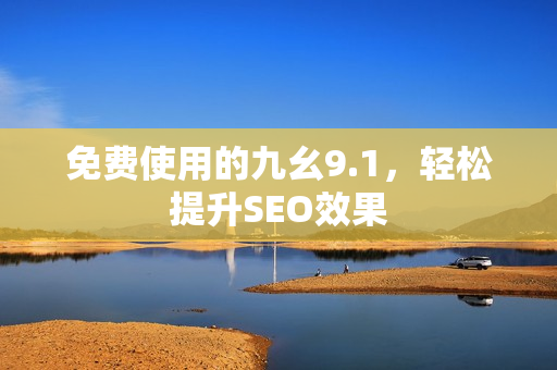 免费使用的九幺9.1，轻松提升SEO效果