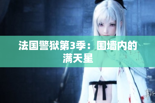 法国警狱第3季：围墙内的满天星