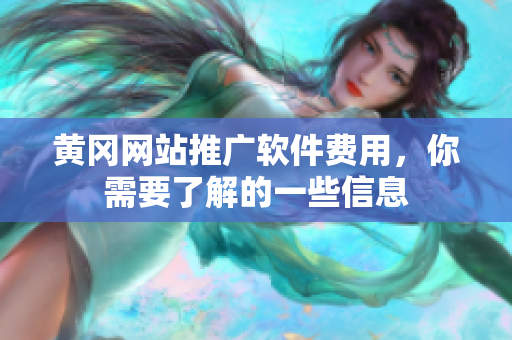 黄冈网站推广软件费用，你需要了解的一些信息